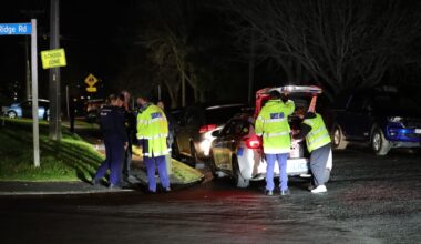 Person arrested after stabbing in Glenfield, Auckland
