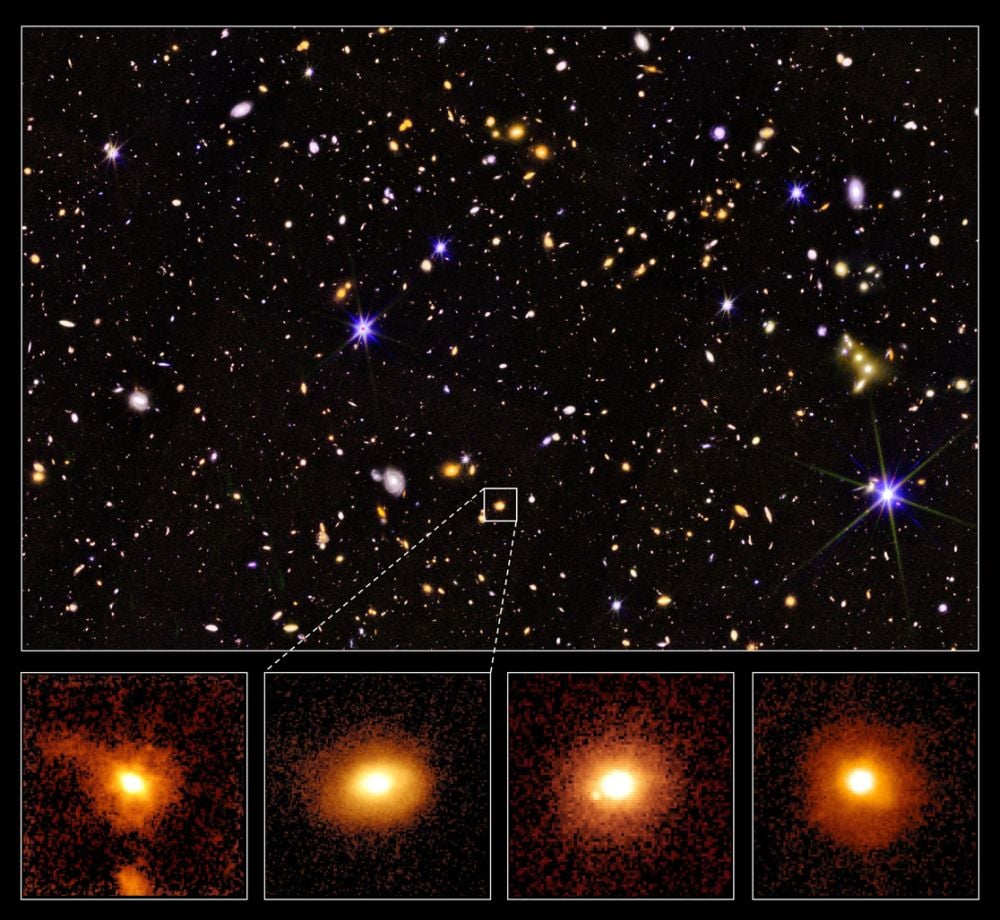 This image shows four of the massive quenched galaxies the JWST found in the early Universe. These images show them as they were around 9 billion years ago, during the Cosmic Noon. The Cosmic Noon was a period of peak star formation in the Universe's galaxies, yet many of these quenched galaxies have been found. Image Credit: David Maltby - University of Nottingham