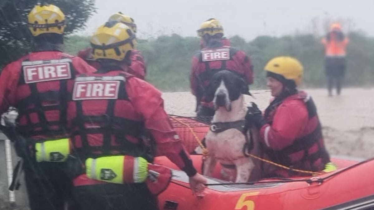 In Pictures: South Island hit by flooding, wind and snow, hundreds evacuated