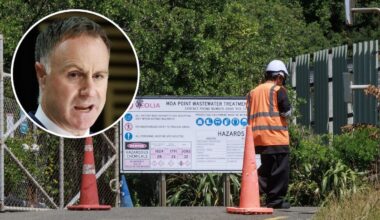 Moa Point sewage disaster: First independent findings to remain secret