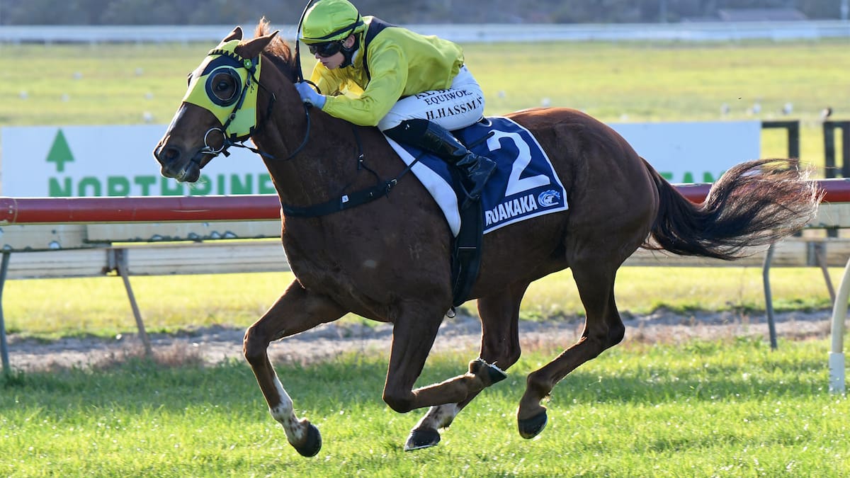 Talented apprentice Hayley Hassman gets tactics spot on with Drop Of Something at Ruakaka
