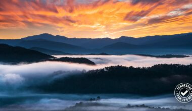 Colorful sunrise sky with dramatic orange clouds above misty mountains and forested hills; fog blankets the valleys. A "Tennessee, Lean Into It" logo appears in the lower right corner.