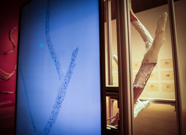 Rhonda Holberton, a Knight Arts + Tech fellow, has a piece "Collateral Influences" in the Motherboards exhibition at the San Jose Museum of Art in San Jose, Calif., on Thursday, June 25, 2026. (Shae Hammond/Bay Area News Group)