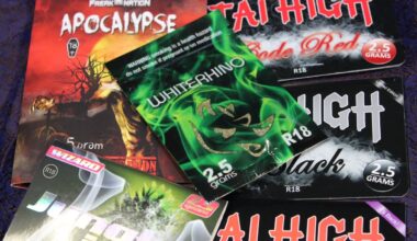 Deceased legal highs figure Stephen Beere’s family trust dispute heads to trial