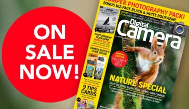 Front cover of issue 310 (August 2026) of Digital Camera World magazine and a red blob that reads 'On sale now!'
