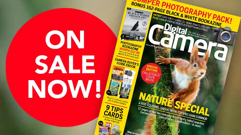 Front cover of issue 310 (August 2026) of Digital Camera World magazine and a red blob that reads 'On sale now!'