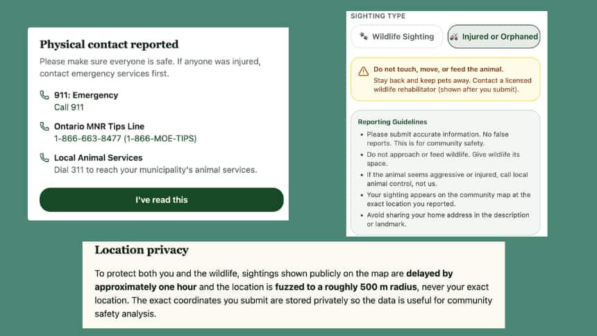 Three screengrabs of the application, Urban Wild Watch that detail safety numbers like 911, 311 and hotlines for the Ministry of Natural Resources. 
