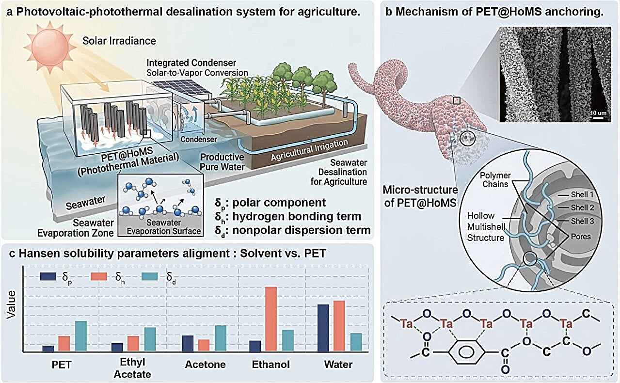 Schematic illustration of the desalination system
