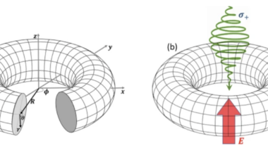 Quantum Control