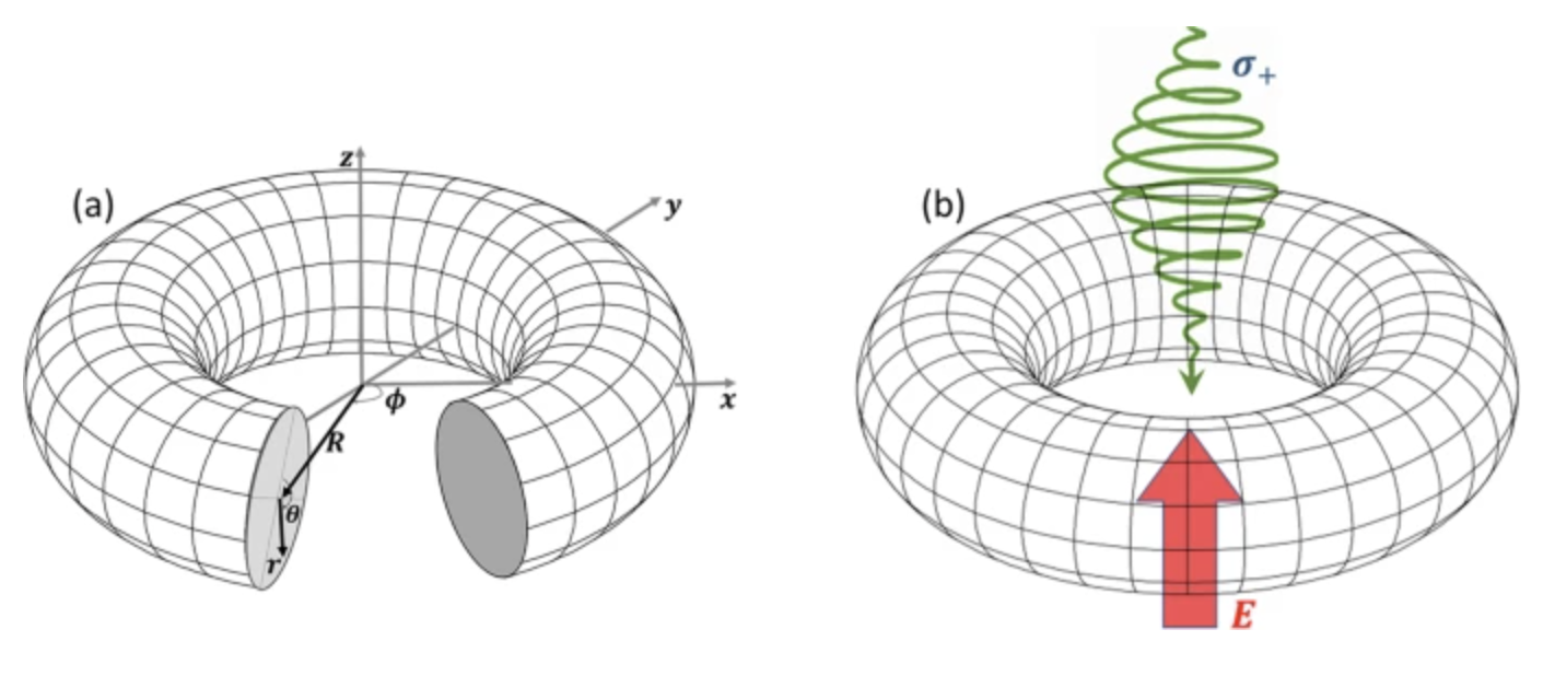 Quantum Control