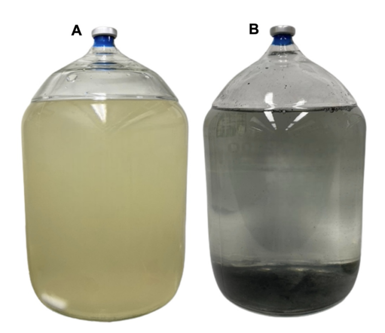Bacteria Found Living in Radioactive Water Have a Surprising Ability to Stabilize Uranium