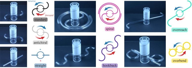 Sprinkler Designs