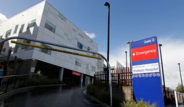 Health New Zealand review released into Waikato Hospital ED death