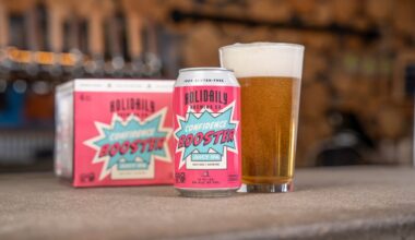 Holidaily Brewing's gluten-free beers are as tasty as traditional ales, IPAs