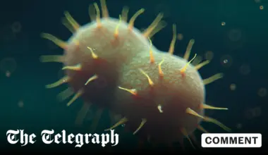 New drug for super-gonorrhoea points to better antibiotic development