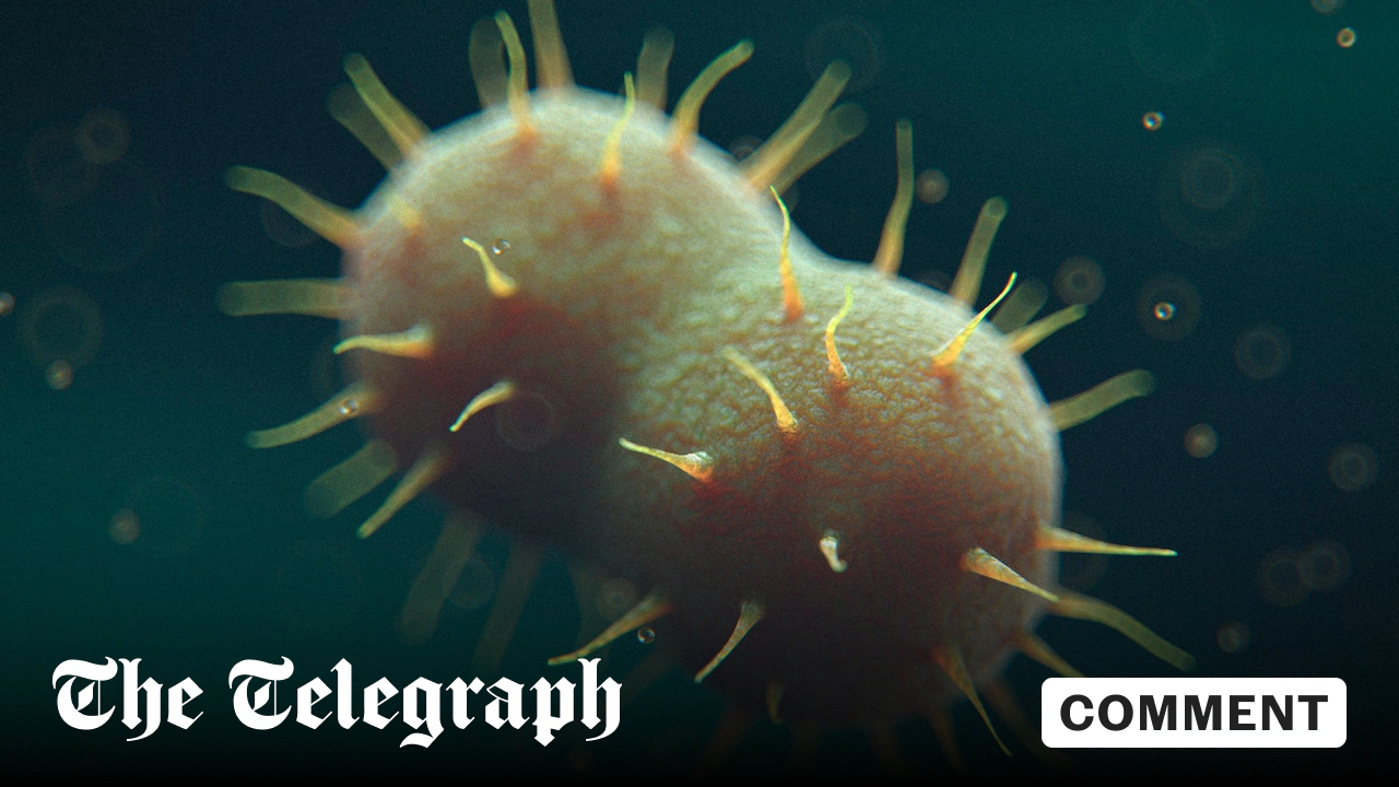 New drug for super-gonorrhoea points to better antibiotic development