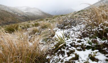 From frosts to snowstorm: MetService warns of multi-day winter blast