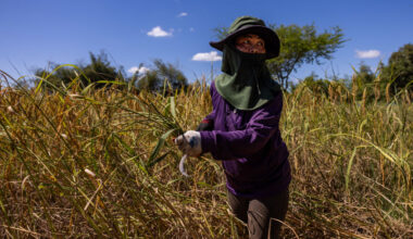 A supercharged El Niño is coming