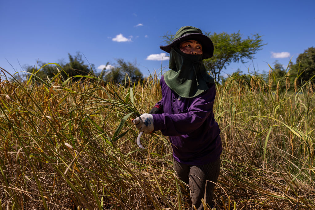A supercharged El Niño is coming