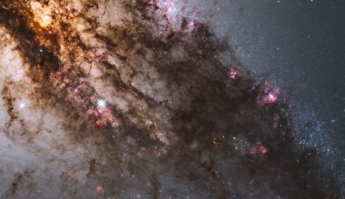 The James Webb Space Telescope reveals a striking image of Centaurus A