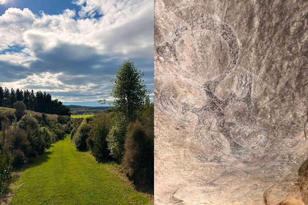 The rock art tour on the outskirts of Pleasant Point, near Timaru, was one of the high points of my trip