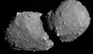 Asteroid flybys: Gray rock object with 2 roundish gray lobes and a narrow waist, totally covered with small bumps.