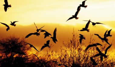 Award-winning photographers all started somewhere – these are the 10 photo contests to enter this July