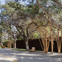 Umbral Floral Pavilion / Cerron Arquitectos - Exterior Photography, Wood