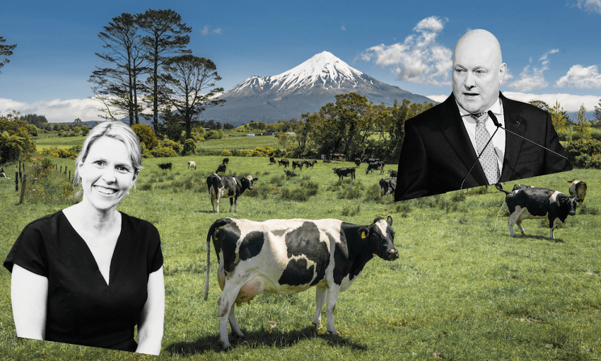 ‘A clear warning sign’: The damning climate change report dividing parliament