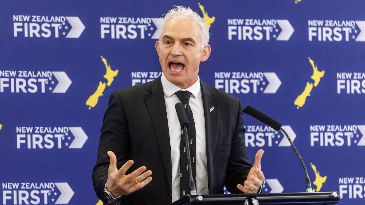 Nash paid the price but Peters and Jones set a disturbing new tone - NZ Herald