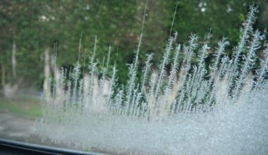 Sub-zero temps hit parts of Auckland as suburbs wake to ice, frosts - NZ Herald