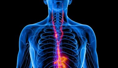 Vagus Nerve Stimulation Has a Profound Impact on Severe Depression, Major Trial Finds : ScienceAlert