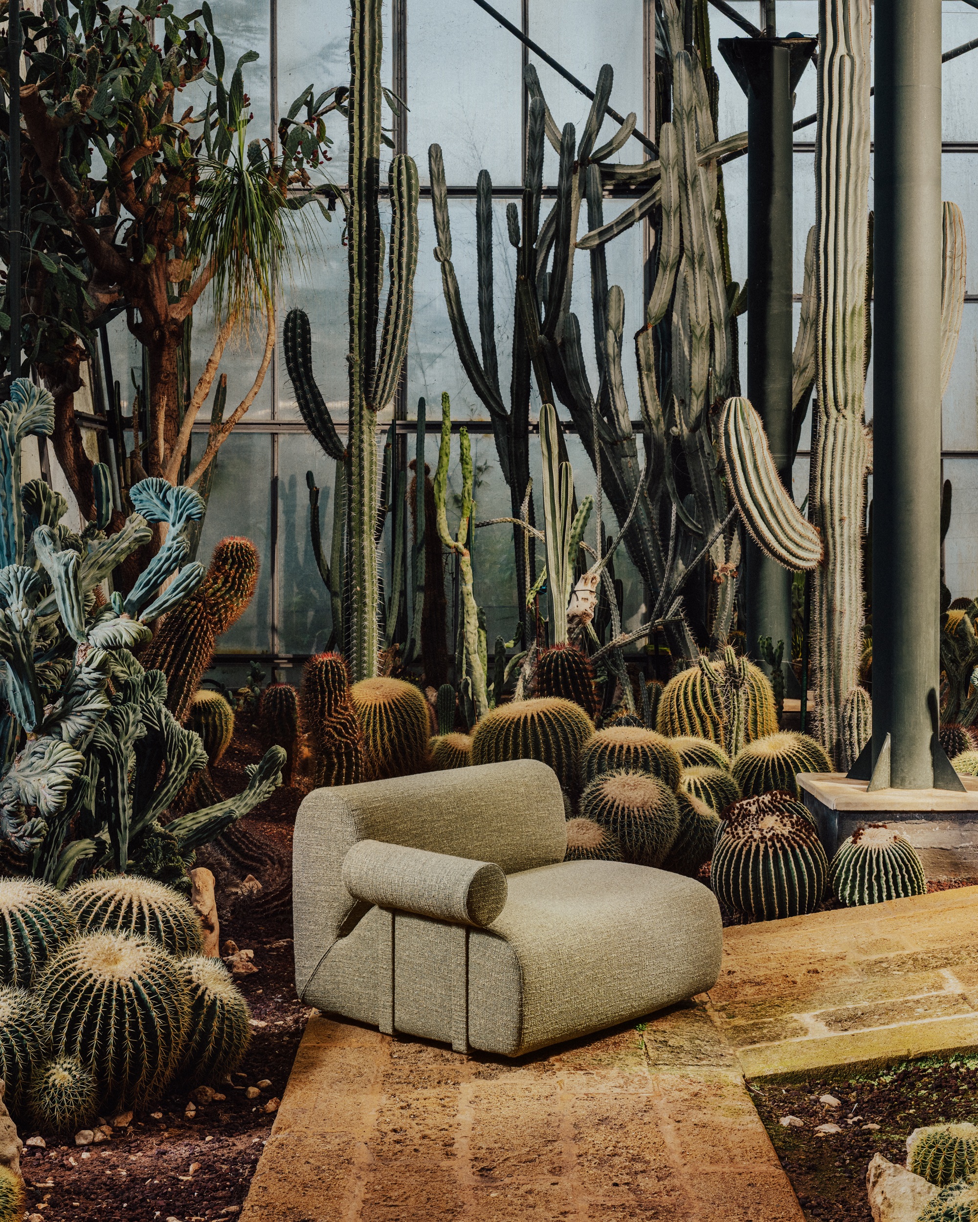 an outdoor armchair surrounded by cacti in a greenhouse