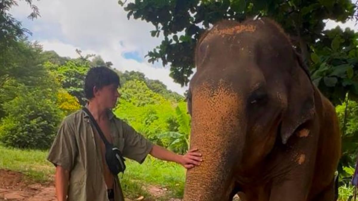 Kiwi teen Loukas Rainger released on bail in Thailand, reunited with mum