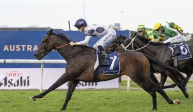 Horse racing: Winter cult hero another reason syndicators keep returning to New Zealand