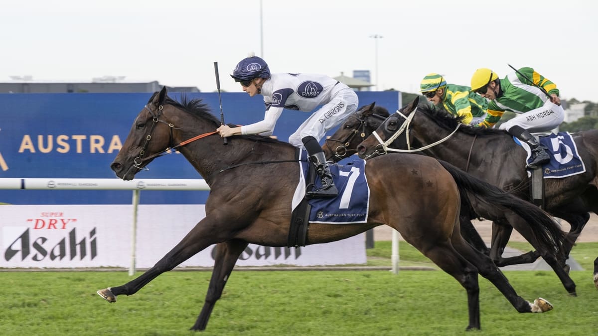 Horse racing: Winter cult hero another reason syndicators keep returning to New Zealand