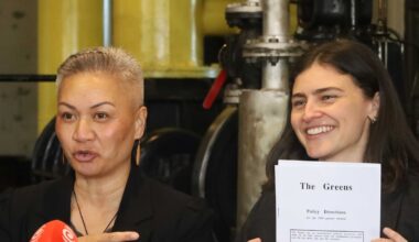Election 2026: Green Party unveils $980m plan for new public energy company Kiwipower