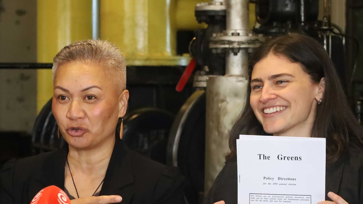 Election 2026: Green Party unveils $980m plan for new public energy company Kiwipower