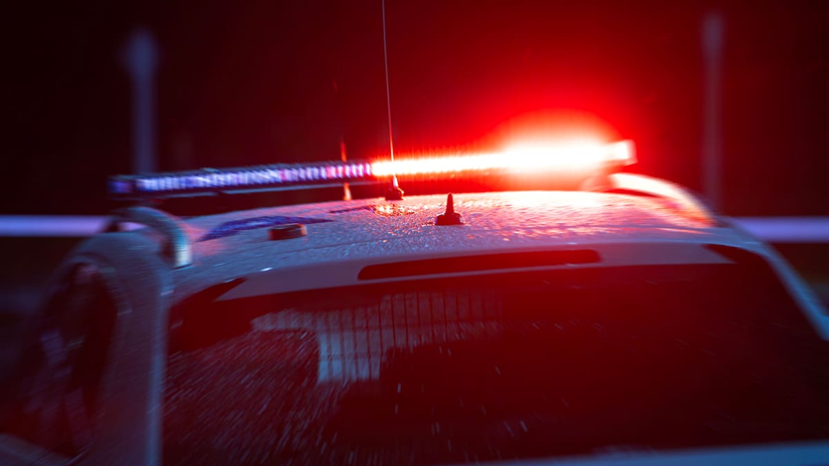 Gang members arrested after loaded shotgun, pistol and machete found during Marton police stop