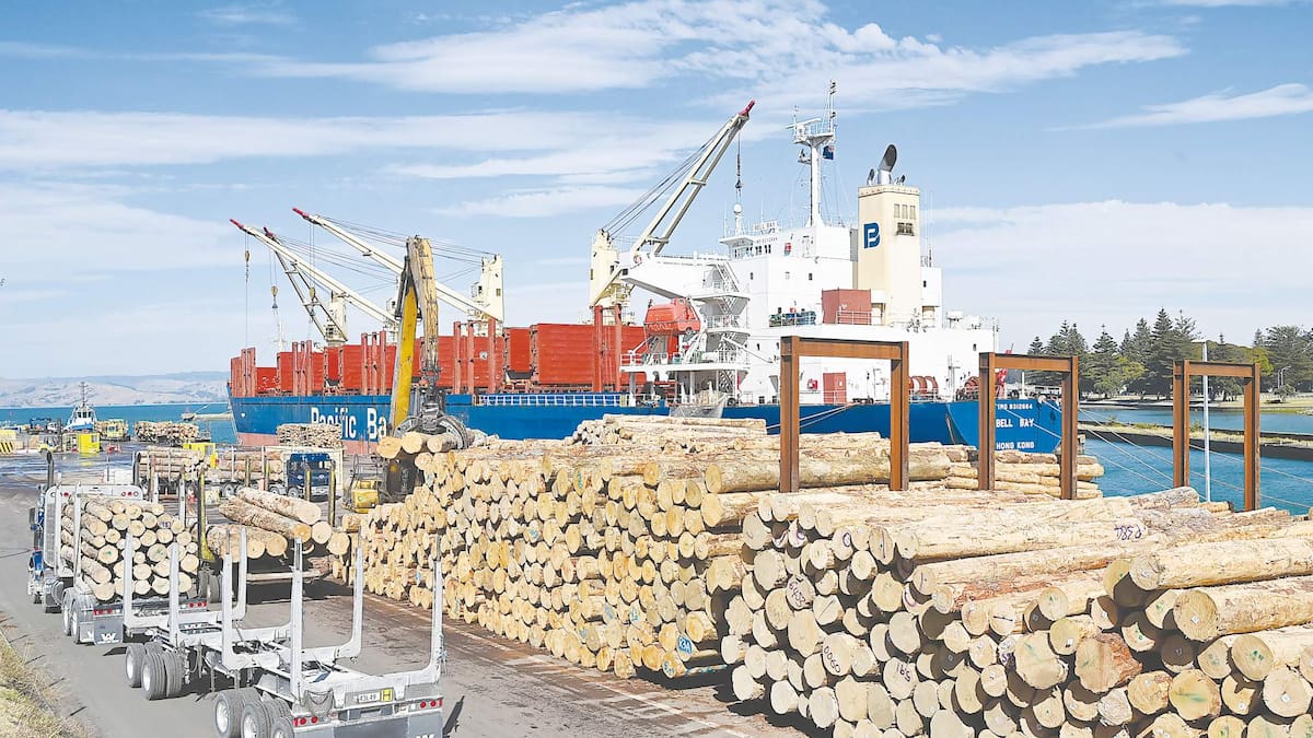 Forestry Q3 outlook: Supply constraints and stronger demand may lift log prices - Marcus Musson