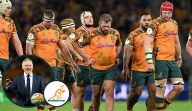 Wallabies: Rugby Australia must 'face the music' over Joe Schmidt transition