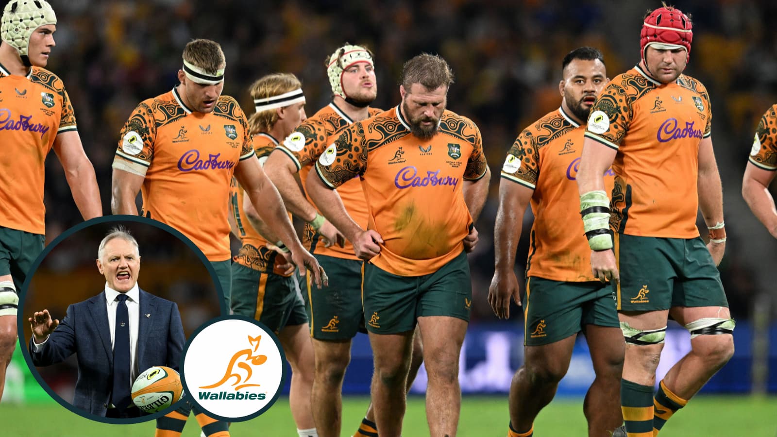 Wallabies: Rugby Australia must 'face the music' over Joe Schmidt transition