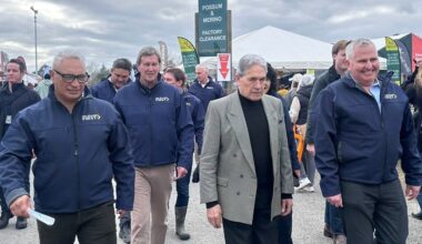 New Zealand First to campaign on ‘citizens-only voting’