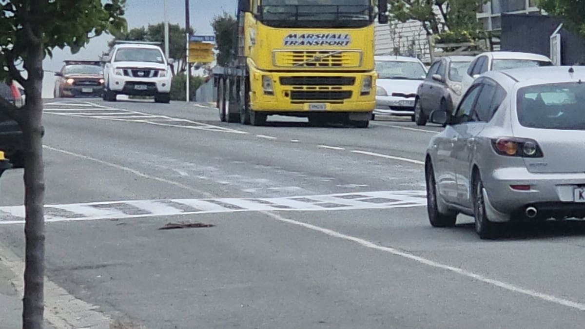 Judge jails Josiah Brooking who painted fake Timaru crossing, kept sawn-off shotgun