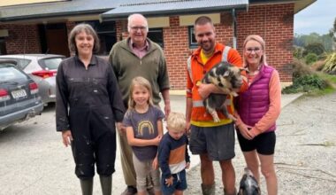 Farm succession: Why older farmers are delaying retirement