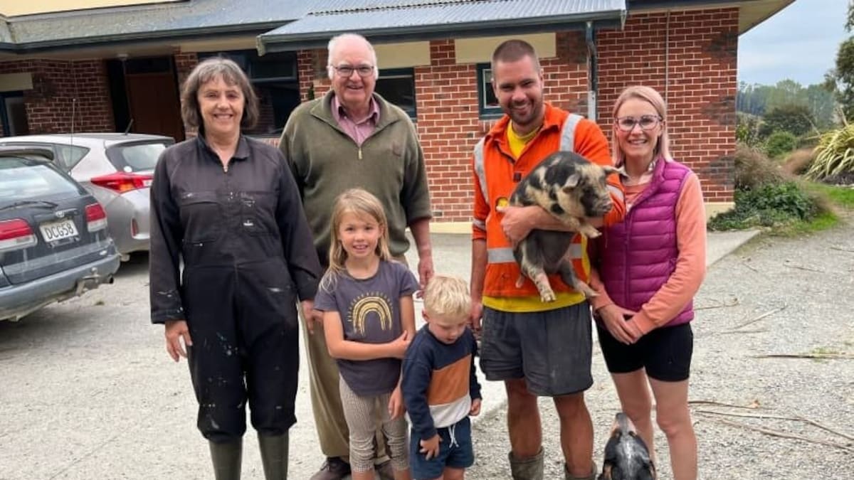 Farm succession: Why older farmers are delaying retirement