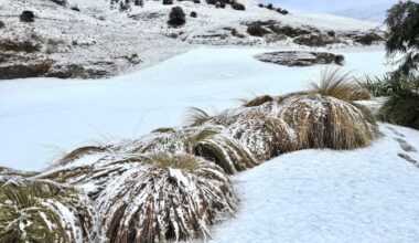 MetService warns icy blast, low-level snow to hit both islands - NZ Herald
