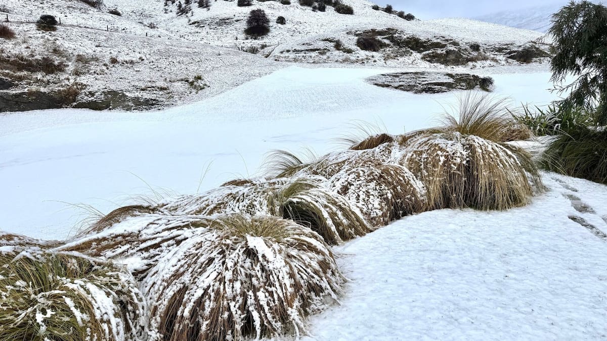 MetService warns icy blast, low-level snow to hit both islands - NZ Herald