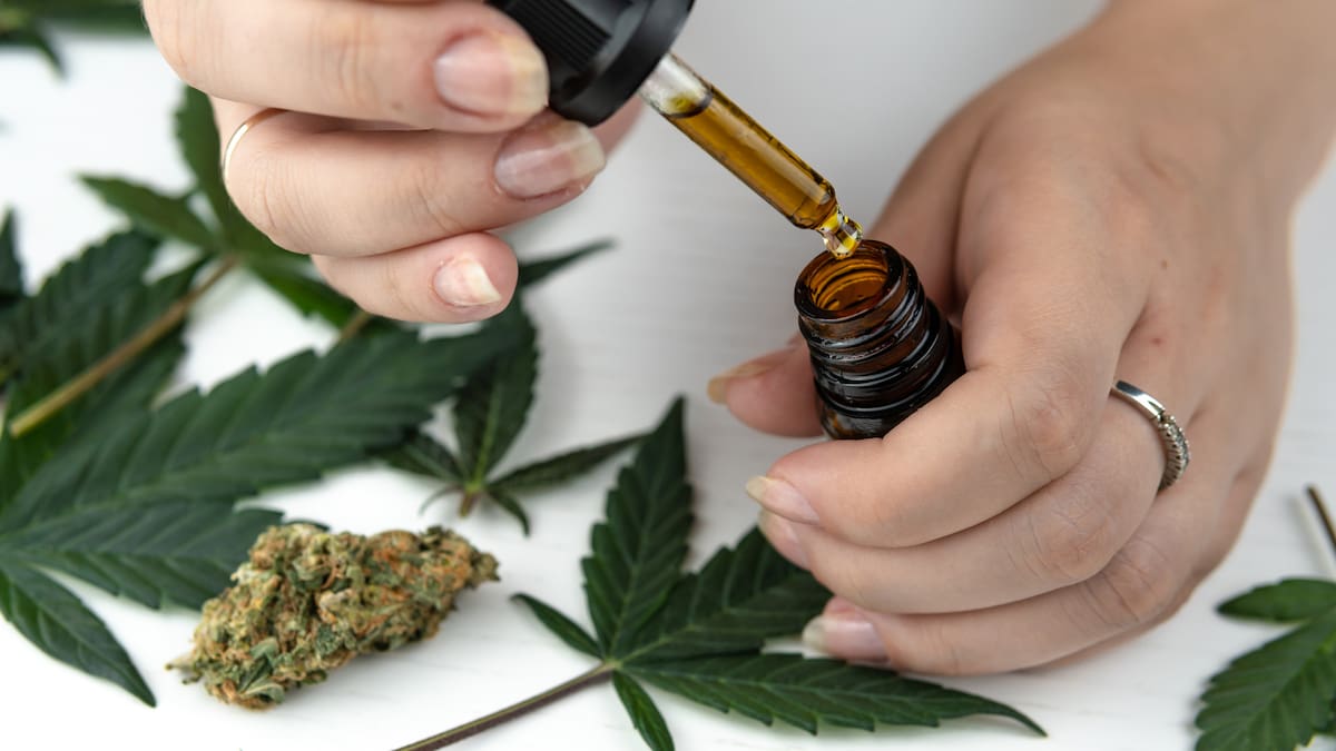 Canterbury medical cannabis supplier faces drug supply charges