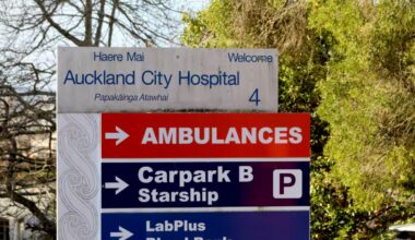 Patient fell trying to kill cockroaches at Auckland Hospital, fleas hit wards